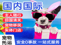 三亚机场货运国际宠物托运 【国